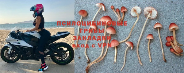 кокс Гусь-Хрустальный